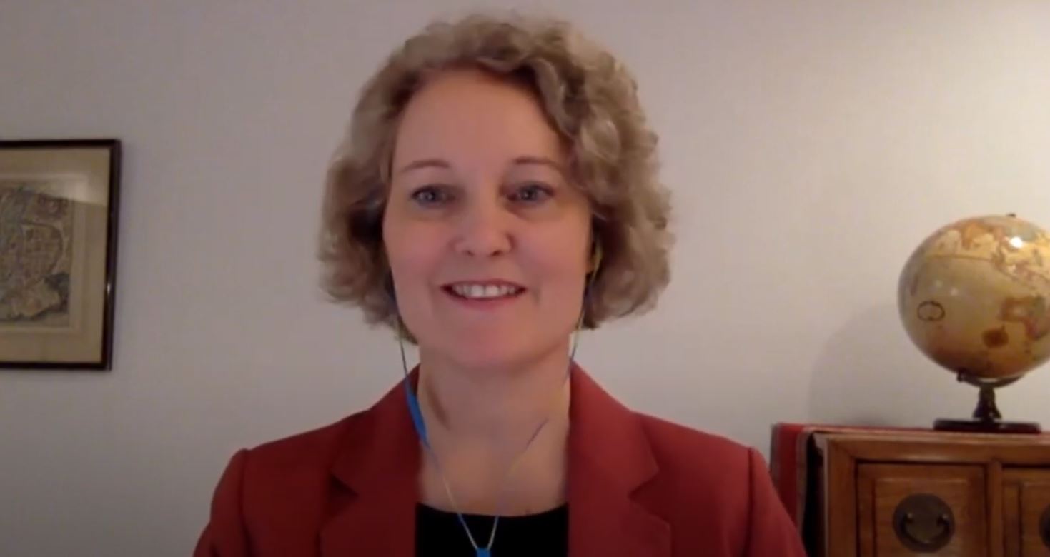 Screenshot of an APIS Health Angels workshop speaker